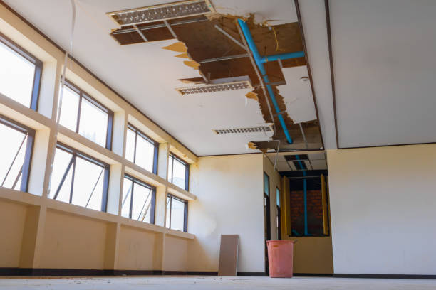 Best Ceiling water damage repair  in Leitchfield, KY