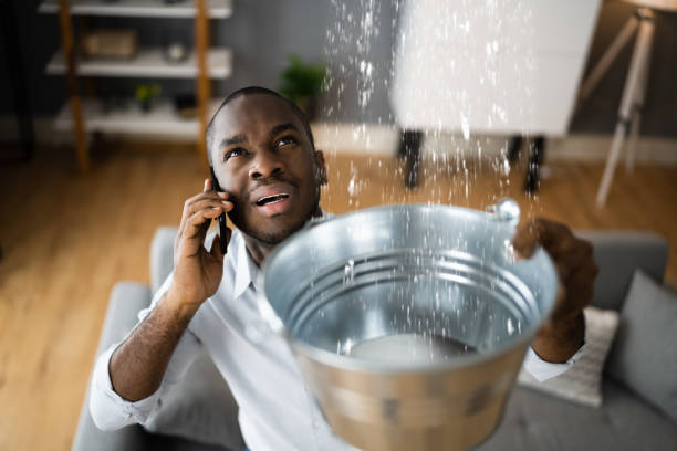  Leitchfield, KY Water damage restoration Pros