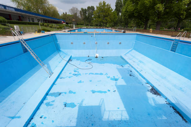 Best Basement water damage restoration  in Leitchfield, KY
