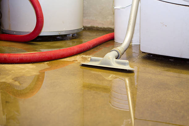 Best Local water damage restoration  in Leitchfield, KY