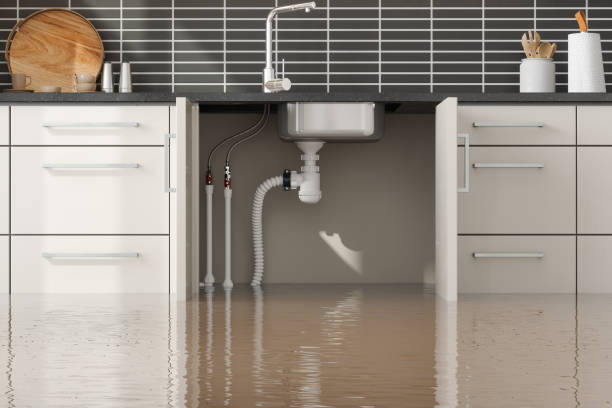 Best Fire Damage Restoration  in Leitchfield, KY