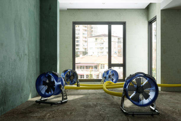 Best Emergency water damage restoration  in Leitchfield, KY