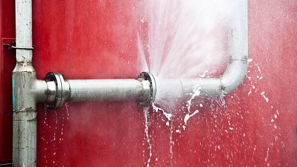 Best Commercial water damage restoration  in Leitchfield, KY