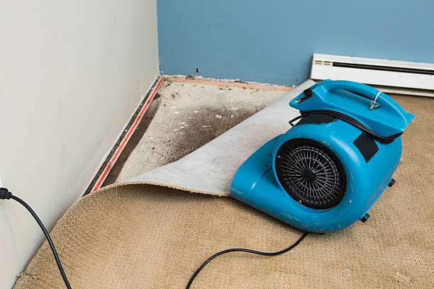 Best Residential water damage restoration  in Leitchfield, KY
